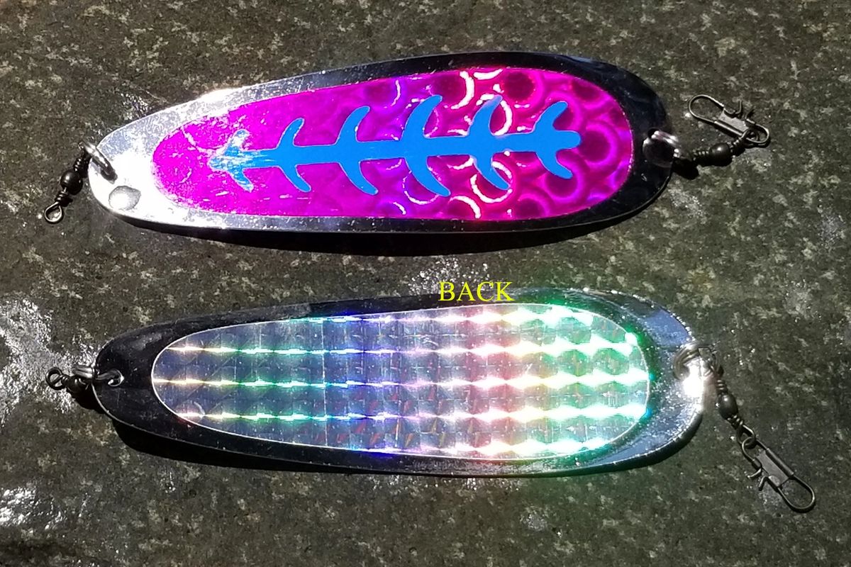 43/8” SALMON SCALE / FLORESCENT BLUE LADDER SERIES 'PRECISION BENT